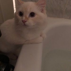 Meet your Posher, Delia